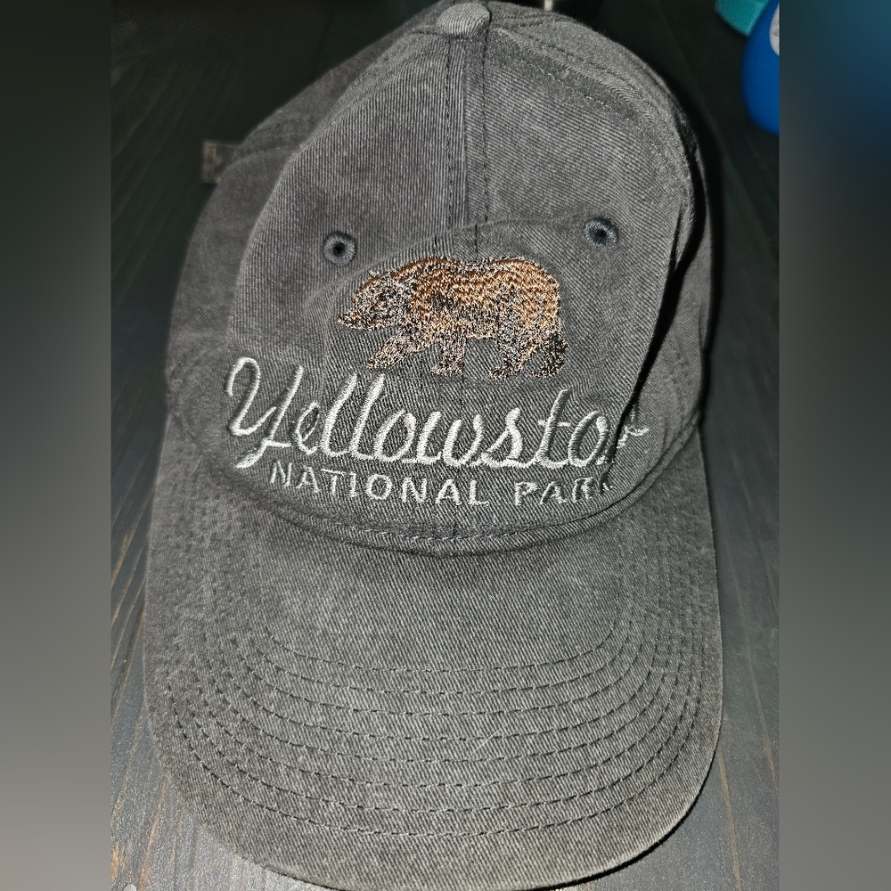Yellowstone National Park gray adjustable hat